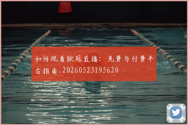 如何观看欧冠直播：免费与付费平台指南_20260523195620
