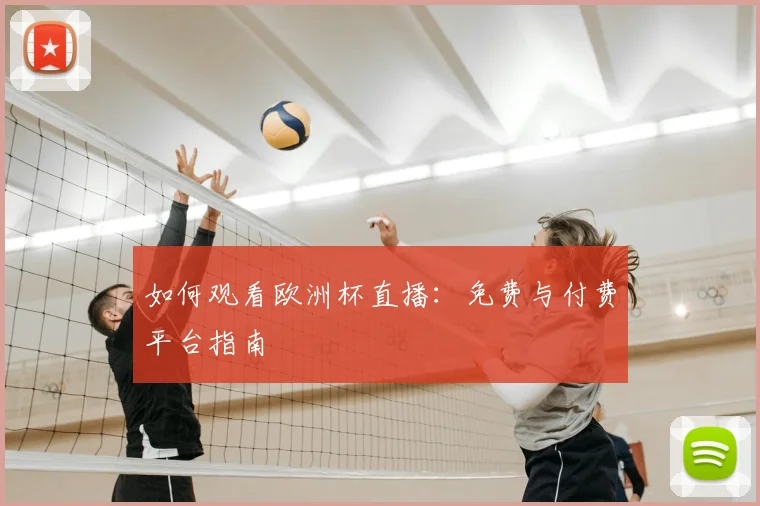 如何观看欧洲杯直播：免费与付费平台指南